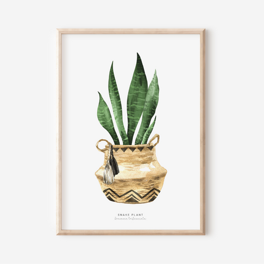 Houseplants - Snake Plant | Art Print