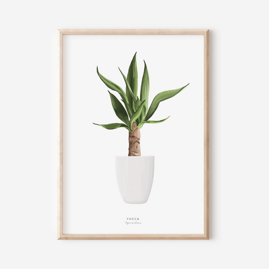 Houseplants - Yucca Tree | Art Print