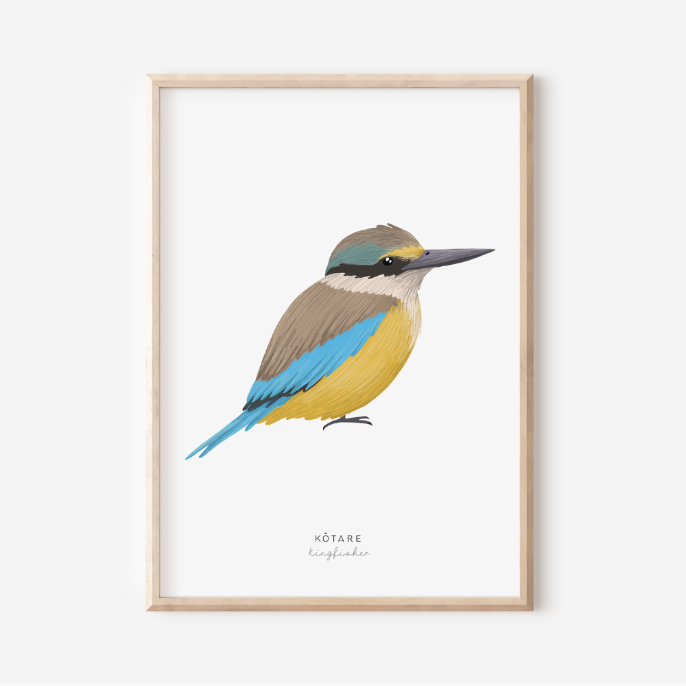 New Zealand Bird - Kingfisher | Art Print