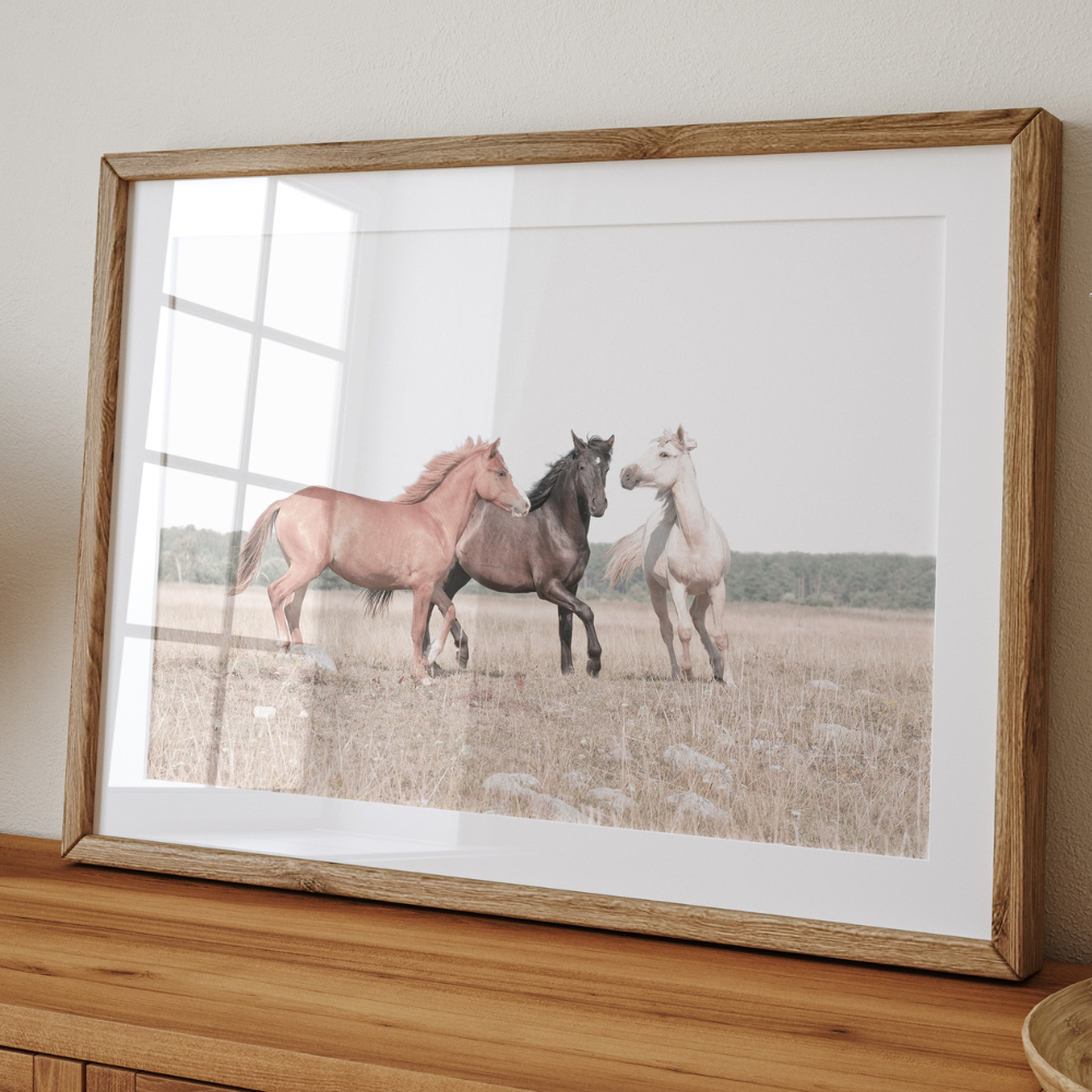 Horse Trio | Photography Art Print