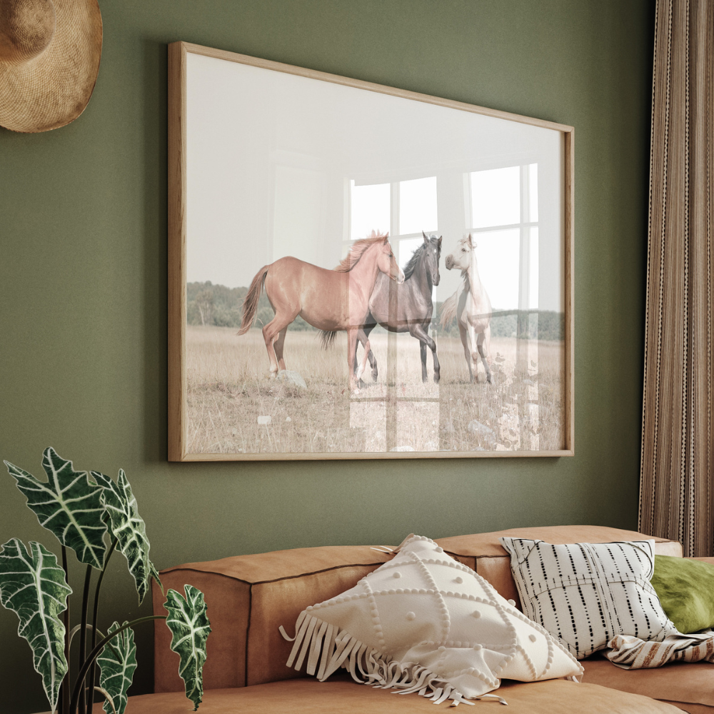 Horse Trio | Photography Art Print