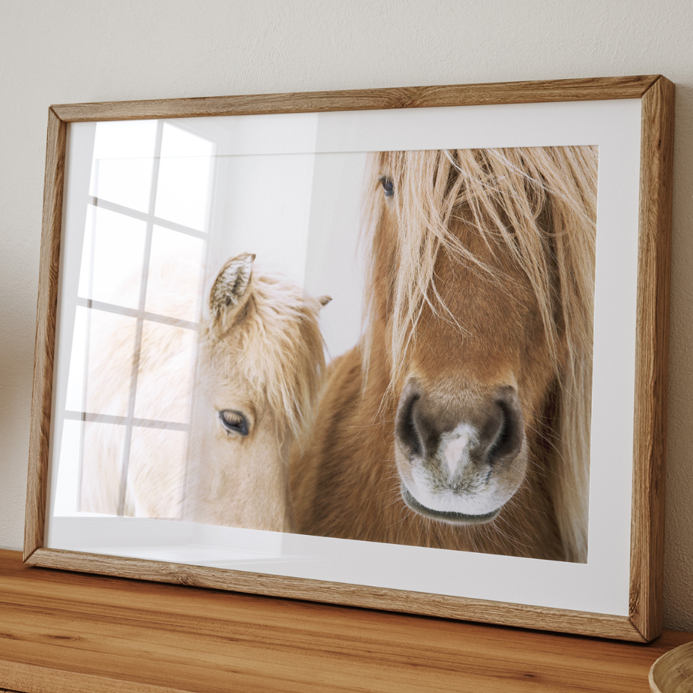 Horse Duo | Photography Art Print