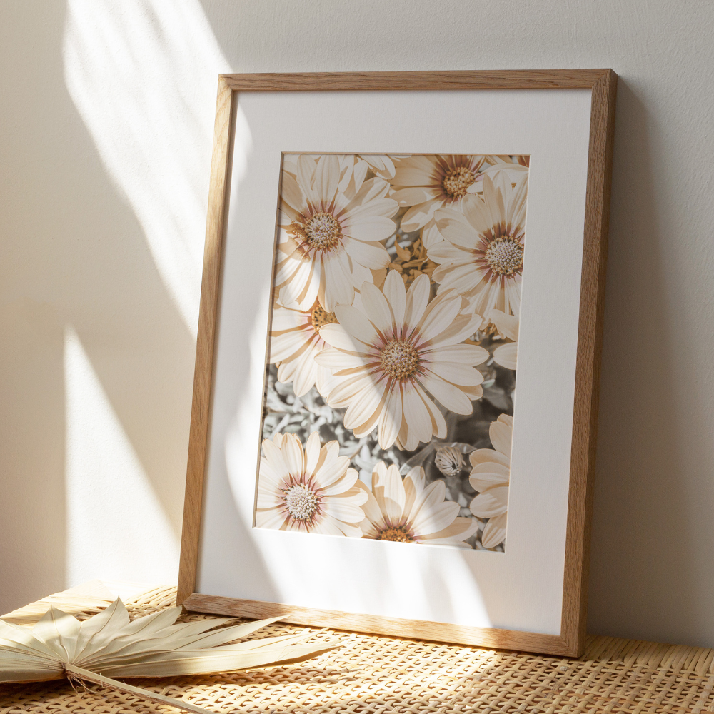 Summer Bloom | Photography Art Print