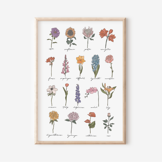 The Botanicals | Art Print