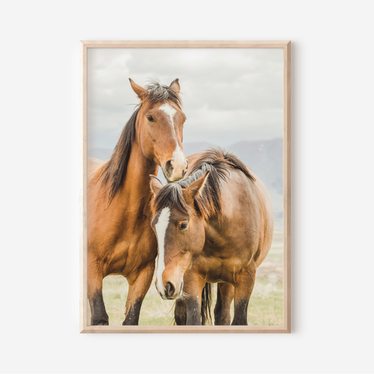 Horse Duo II | Photography Art Print