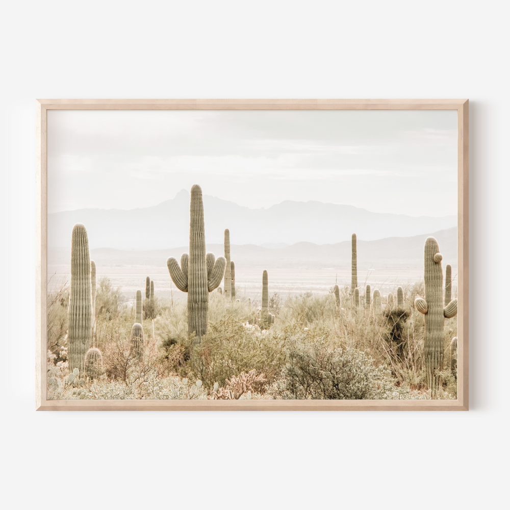 Arizona Desert | Photography Art Print