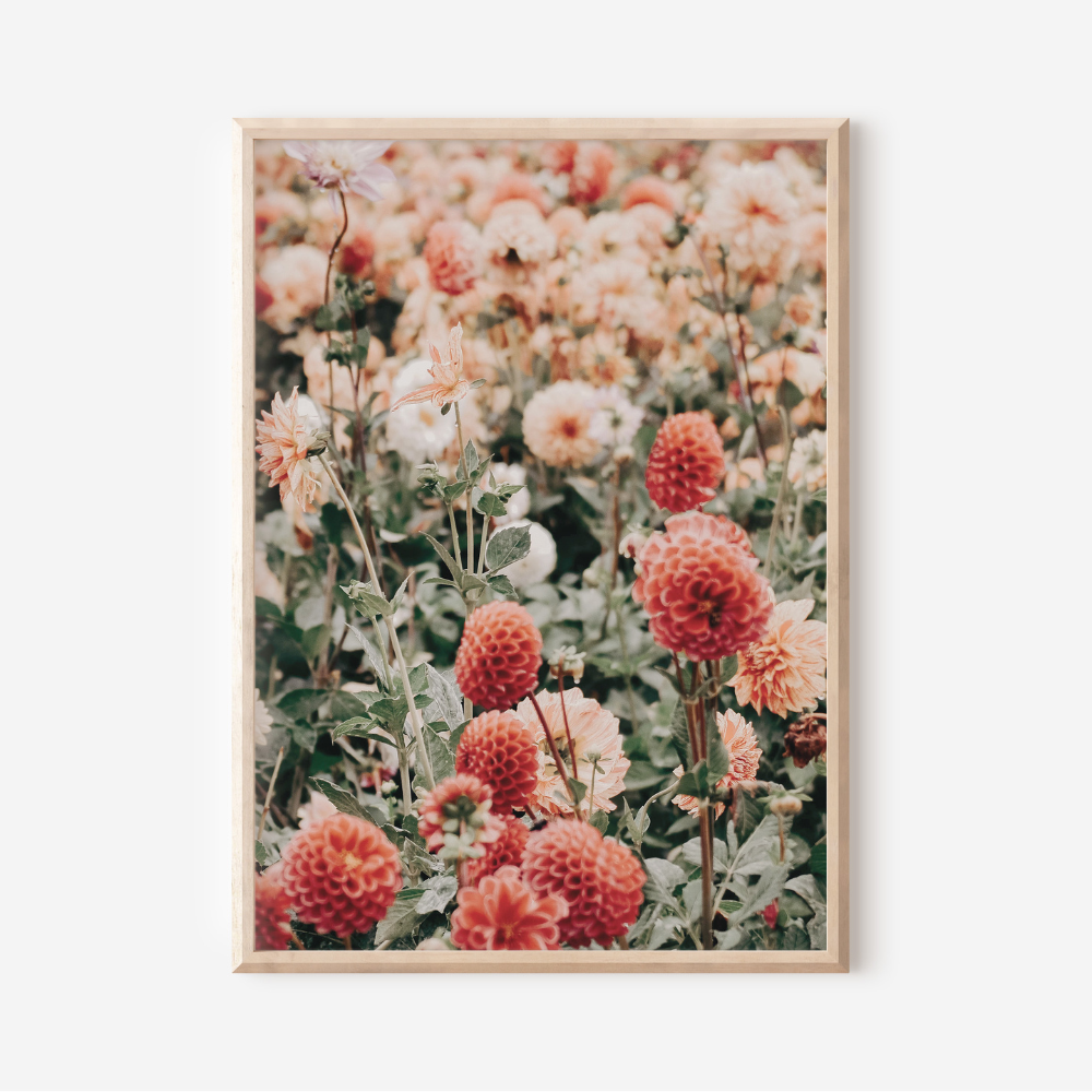 Wild Flowers | Photography Art Print