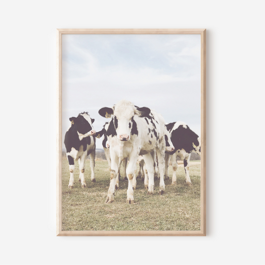 On The Farm | Photography Art Print