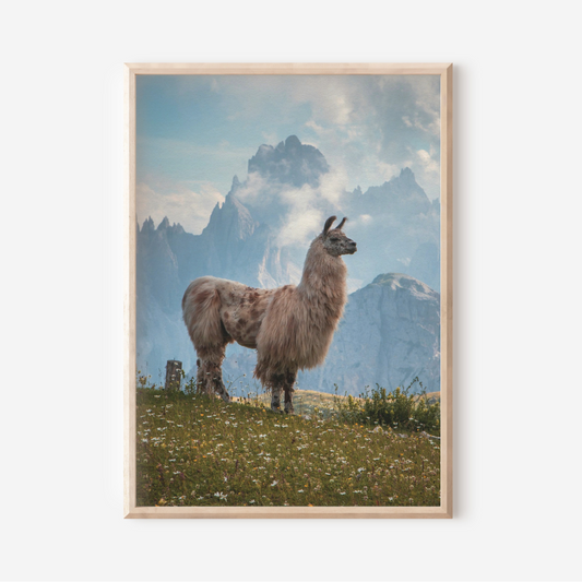 Llama Mountains | Photography Art Print