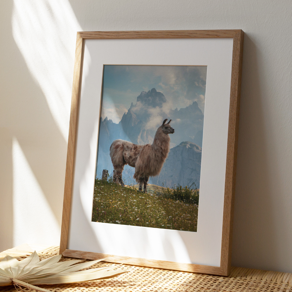 Llama Mountains | Photography Art Print