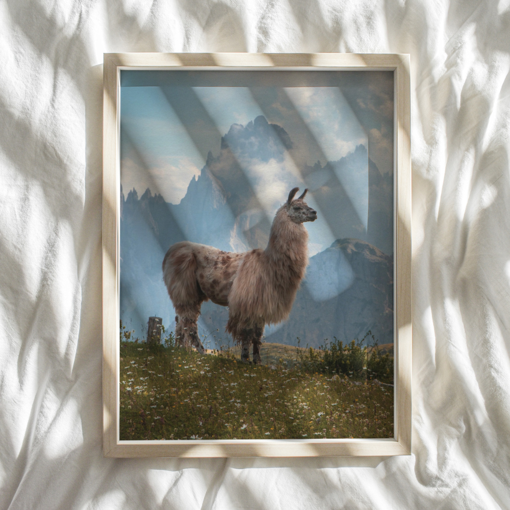 Llama Mountains | Photography Art Print