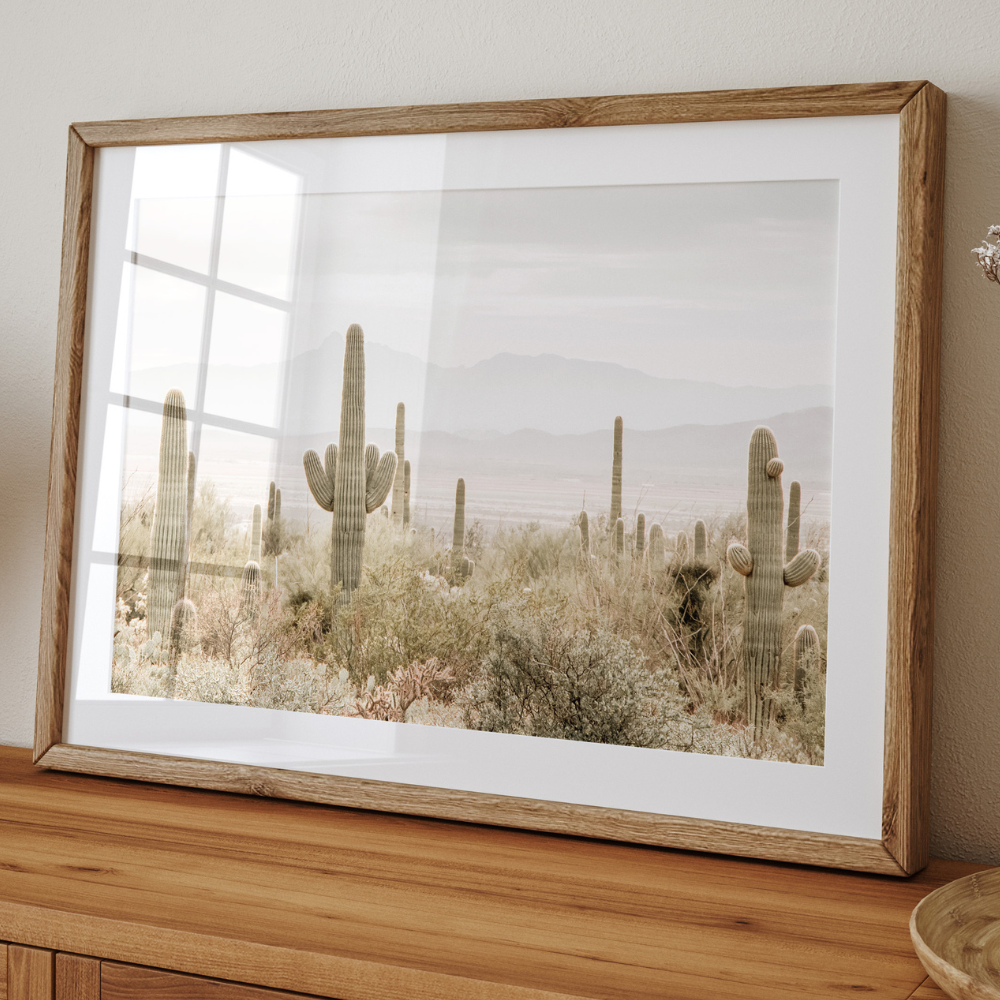 Arizona Desert | Photography Art Print