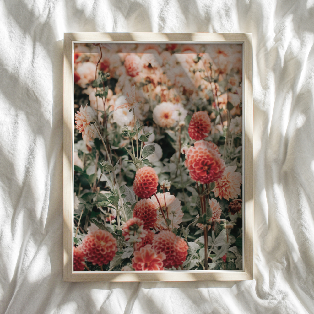 Wild Flowers | Photography Art Print